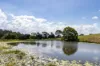 391 Newspaper Hill Road, Belli Park QLD 4562-Image