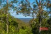 392 Baldy Knob Road, Limeburners Creek, NSW 2324-Image