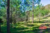 392 Baldy Knob Road, Limeburners Creek, NSW 2324-Image