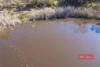 392 Baldy Knob Road, Limeburners Creek, NSW 2324-Image