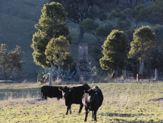 394 Range Hills Road, Bathurst, NSW 2795