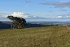 394 Range Hills Road, Bathurst, NSW 2795-Image