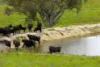 394 Range Hills Road, Bathurst, NSW 2795-Image