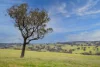 394 Range Hills Road, Bathurst, NSW 2795-Image