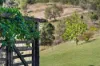 395 Dry Gully Road, Mount Whitestone QLD 4347-Image