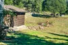 395 Dry Gully Road, Mount Whitestone QLD 4347-Image