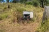 395 Dry Gully Road, Mount Whitestone QLD 4347-Image