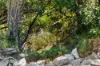 395 Dry Gully Road, Mount Whitestone QLD 4347-Image