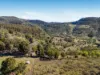 395 Dry Gully Road, Mount Whitestone QLD 4347-Image