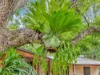 395 Upper Warrell Creek Road, Congarinni, NSW 2447-Image