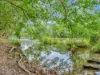 395 Upper Warrell Creek Road, Congarinni, NSW 2447-Image