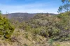 398 Spring Flat South Lane, Mudgee, NSW 2850-Image