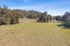 398 Spring Flat South Lane, Mudgee, NSW 2850-Image