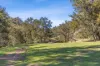 398 Spring Flat South Lane, Mudgee, NSW 2850-Image