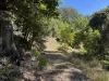 4, 1356 Main Arm Road, Upper Main Arm, NSW 2482-Image
