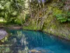 4, 1356 Main Arm Road, Upper Main Arm, NSW 2482-Image