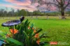 4 Bede Street, Stroud, NSW 2425-Image
