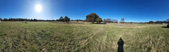4 Garryowen Road, Binalong, NSW 2584