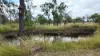 4 Merritt Street, Didcot, Qld 4621-Image