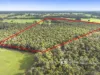 4 Rickett Road, Cowaramup, WA 6284-Image