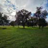 4 Websters Lane, Mount Kilcoy QLD 4515-Image