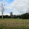 4 Websters Lane, Mount Kilcoy QLD 4515-Image