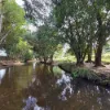 4 Websters Lane, Mount Kilcoy QLD 4515-Image