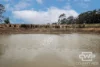 40 Catarrh Creek Road, Torrington, NSW 2371-Image