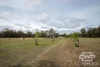 40 Catarrh Creek Road, Torrington, NSW 2371-Image