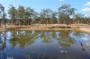 405, Darts Creek QLD 4695-Image