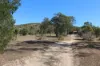 405, Darts Creek QLD 4695-Image