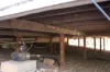 405, Darts Creek QLD 4695-Image