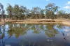 405 Darts Creek Road, Darts Creek, Qld 4695-Image