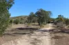 405 Darts Creek Road, Darts Creek, Qld 4695-Image