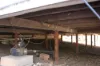 405 Darts Creek Road, Darts Creek, Qld 4695-Image