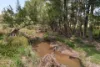 405 Lowes Peak Road, Mudgee, NSW 2850-Image