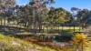 4055 Hill End Road, Mudgee, NSW 2850-Image