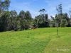 41 Ford Street, Elands, NSW 2429-Image