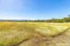 41 Hawkes Road, Cinnabar, Qld 4600-Image
