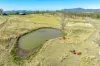 41 Hawkes Road, Cinnabar, Qld 4600-Image