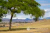 41 Sweeney Road, Roadvale, Qld 4310-Image