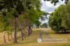 41 Sweeney Road, Roadvale, Qld 4310-Image