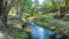 4106 Kiewa Valley Highway, Dederang, Vic 3691-Image