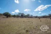 4108 Tent Hill Road, Emmaville, NSW 2371-Image