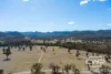 4108 Tent Hill Road, Emmaville, NSW 2371-Image