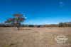 4108 Tent Hill Road, Emmaville, NSW 2371-Image