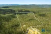 411 Leslie Creek Road, Drake, NSW 2469-Image