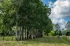 415-433 Anderleigh Road, Gunalda QLD 4570-Image