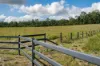 415-433 Anderleigh Road, Gunalda QLD 4570-Image