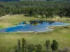 415-433 Anderleigh Road, Gunalda QLD 4570-Image